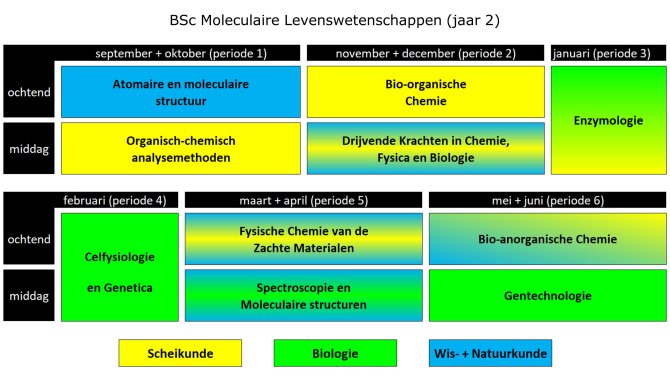 BML vakken 2e jaar