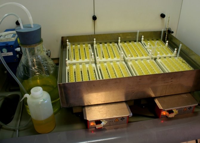 Extracting cellulose (for C14-measurements purposes elsewhere) 