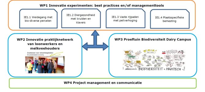 Klik op de afbeelding voor een vergroting van een overzicht van de projectaanpak