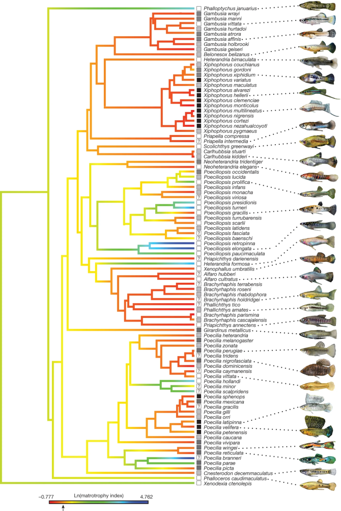 41586_2014_BFnature13451_Fig1_HTML.png