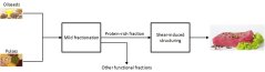 Figure 1: Production process of next generation meat analogues