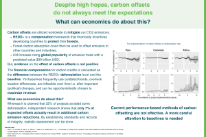 Carbon offsets