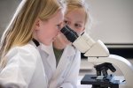 Leerlingen onderzoeken algen tijdens het Junior Science Lab.