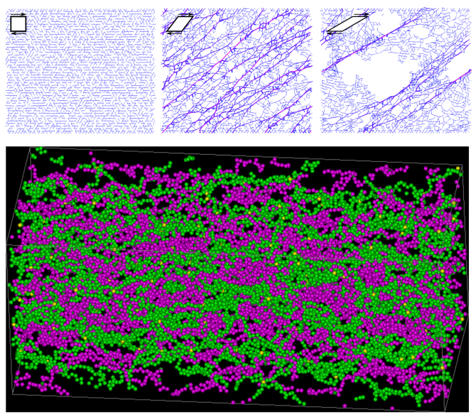 Top) Deformation and failure of a fiber network under shear deformation. The thickness and color (blue to red) represent the magnitude of the force exerted on that bond. Bottom) A Molecular Dynamics (MD) simulation snapshot of a stretched interpenetrating polymer double-network.