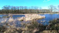 Bolleveen bij Zeijen. In het verleden zijn hier bij turfwinning archeologische vondsten gedaan. Tekst en foto: Roy van Beek