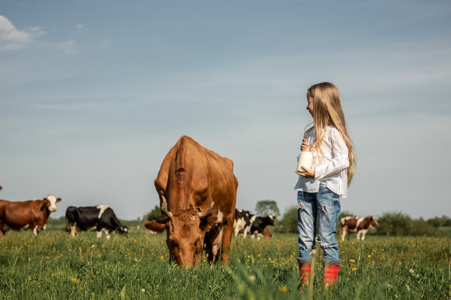 De sociale gevolgen van de transitie kunnen verreikend zijn voor boerenfamilies. Foto: Shutterstock