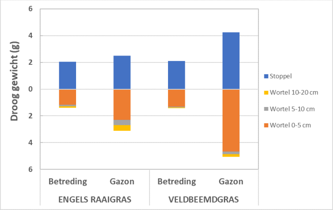 Figuur. Drooggewicht (g) van stoppels en wortels in een drie jaar oude zode op zandgrond. Gemiddelde van vijf rassen Engels raaigras en vier rassen veldbeemdgras. De gazonproef is niet betreden. Op de sportvelden is betreding nagebootst met een noppenrol. 