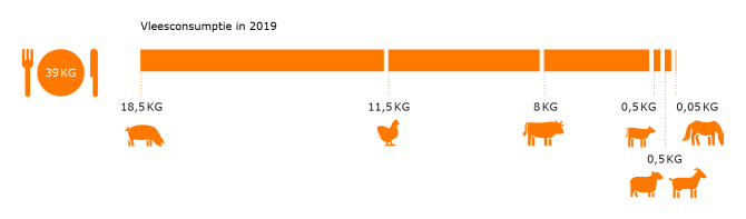 Klik op de afbeelding voor een vergroting