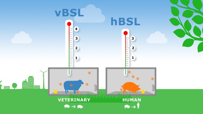 Our high-containment unit (HCU) operates under human Biosafety Level 3 (BSL 3) and veterinary Biosafety Level 4 (BSL 4)