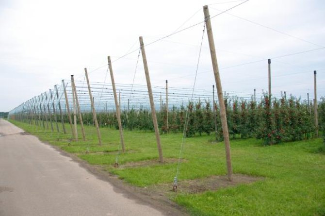 Testen van hagelnetten op Proeftuin Randwijk