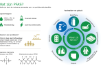 3_Infographic_Westerschelde_kenmerken PFAS.png