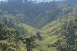 Hilly landscape with predominant grasslands in the valleys and more abundant tree cover on top