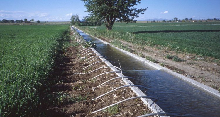 irrigation system design software
