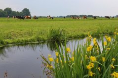 ''Onderhoud van sloten is op ons bedrijf echt maakwerk," meent Marinus