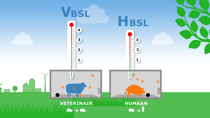 Biosafety levels research facilities WBVR