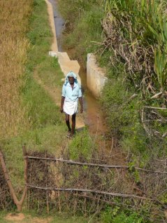 Irrigation canal in Andhra Pradesh