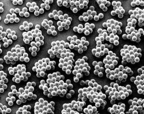 Co Flow Assisted Membrane Emulsification In The Jetting Regime Wur