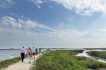 Excursie Marker Wadden