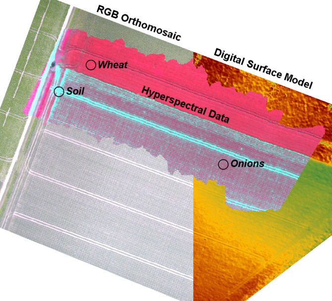 Precision agriculture