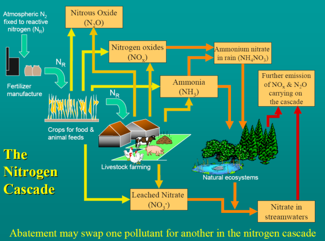 M-Krol_nitrogen_cascade.PNG