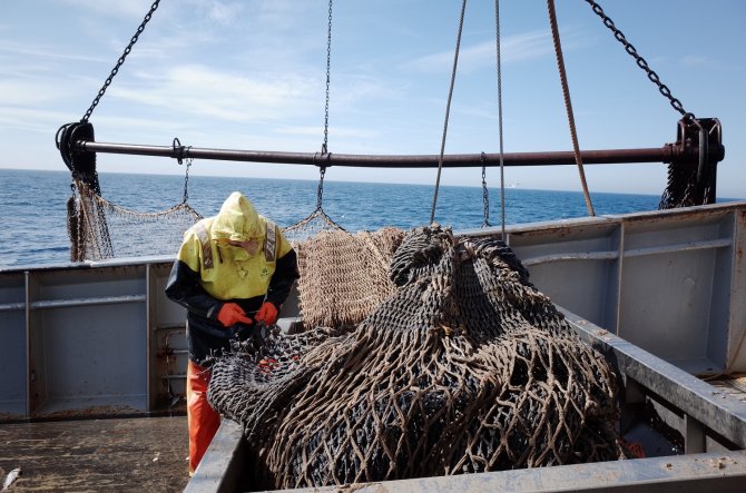 Fishing with bottom trawlers is not allowed at offshore wind parks. Photo: Tomasz Zawadovski.