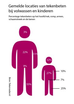 Gemelde locaties van tekenbeten bij volwassenen en kinderen