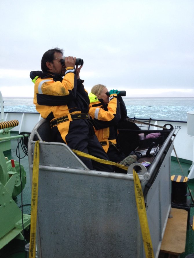 The marine bird and mammal monitoring in the bird box (photo: Martine van den Heuvel-Greve)  