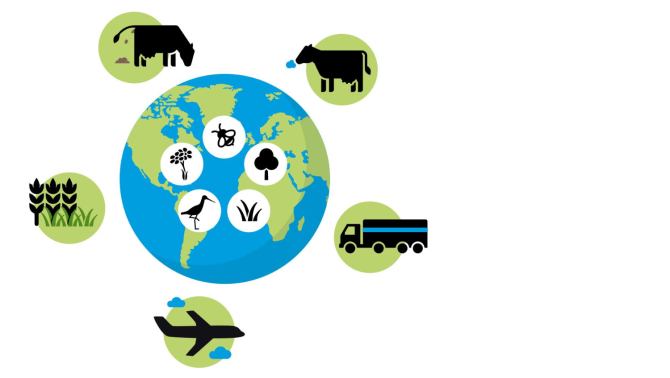 The Circular Food System model shows what a healthy diet could look like that places the least possible burden on the earth, partly by minimizing land use and emissions of greenhouse gases and environmental pollutants.