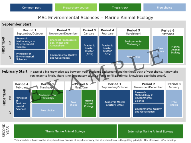 2024-2025 MES - Marine Animal Ecology