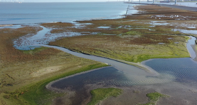 Wageningen Marine Research - Wur