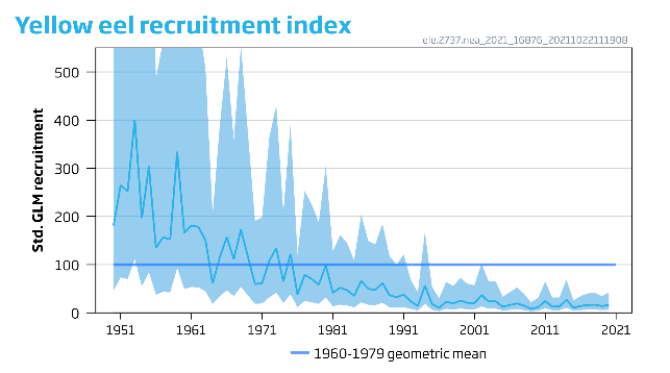 3. Jonge rode aal (‘Yellow eel recruitment index’)