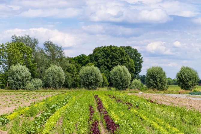 Kringlooplandbouw Achterhoek