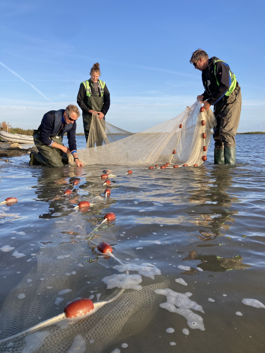 A day counting fish on the marker mudflats - WUR