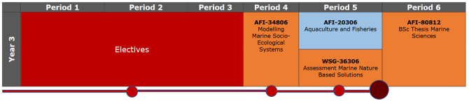 BMS year 3 schedule