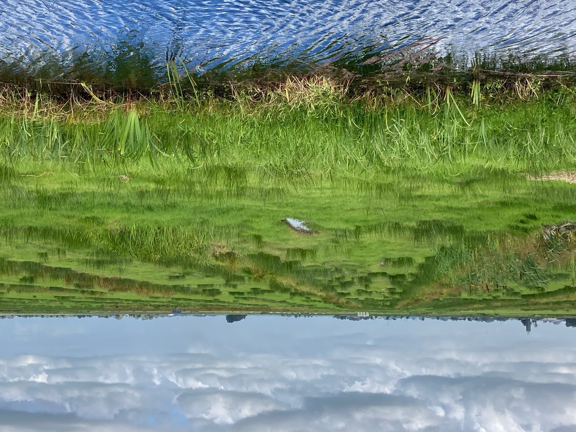 Het water- en bodemsysteem is leidend bij de ruimtelijke inrichting van Nederland. Foto: Laag Nederland 2050