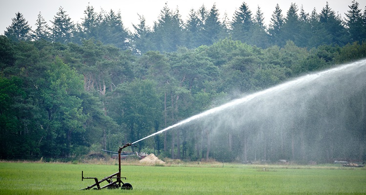 Grassland irrigation at our Agro-innovation centre De Marke