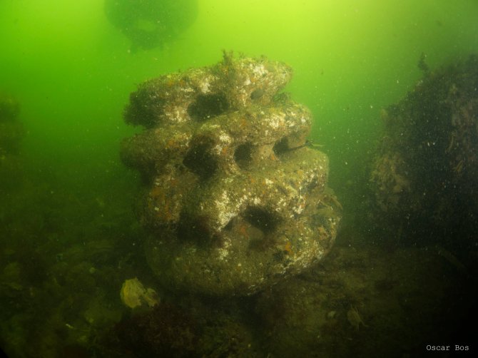 Artificial reef structure. Photo: Dr. O. Bos.