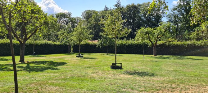 Orchard in Honor of Female Engineers