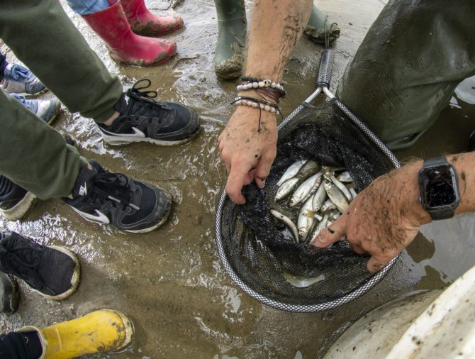 Children are particularly interested in the fish caught (Vincent Schouten)