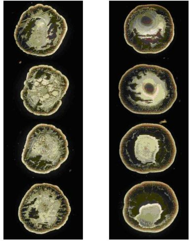 Pattern (crystal) formation  before (left) and after treatment