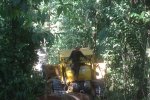 Bulldozer pulling out a log. Skid trails represent an important source of carbon losses during harvesting and bulldozers are the main source of GHG