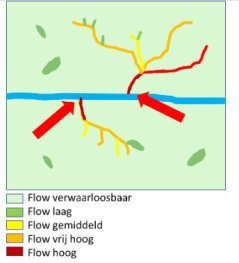 Figuur 1: uitsnede van een afspoelkaart uit de BWW van een Koeien & Kansen bedrijf. De flow uit de legenda is een maat die aangeeft hoeveel oppervlak afwatert op het betreffende punt; naarmate de kleur donkerder wordt is dat oppervlak groter. Als zo’n donkere plek vlak naast de sloot ligt, zoals in de rode cirkels, is het risico op afspoeling dus groot. 