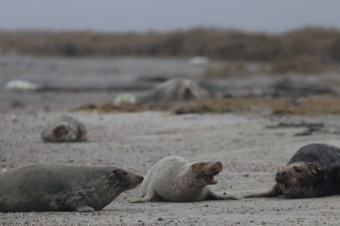 Foto: Jeroen Hoekendijk