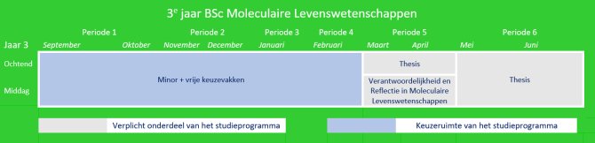 BML vakken 3e jaar