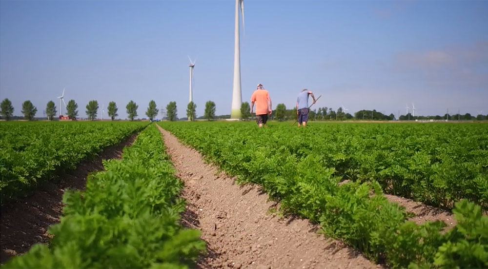  Wet Farming Definition Distinguish Between Dry Land Farming And Wet 