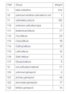 Table 1. Structure and some records of table PATHS