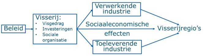 Figuur 2: Effecten van visserijbeleid op de visserij en (indirect) op de verwerkende en toeleverende sectoren en de visserijregio’s