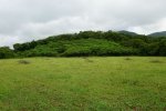 Measuring plot (in the background) of secondary succession in the tropical dry forest in Mexico