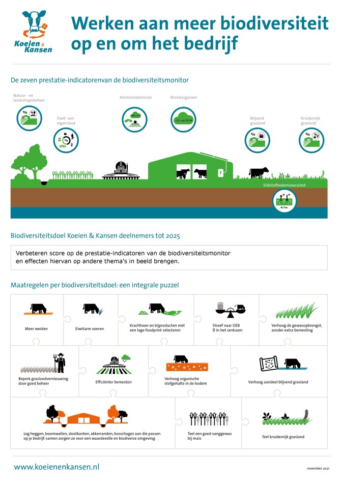 Klik op de afbeelding en download de infographic