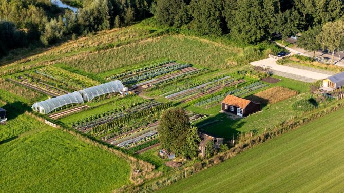 Aerial photo of their garden